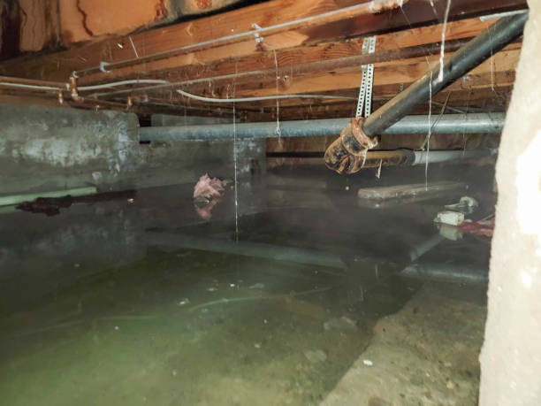Reliable Gary, IN Water damage restoration Solutions