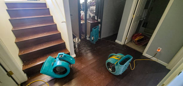 Best Flood damage cleanup  in Gary, IN