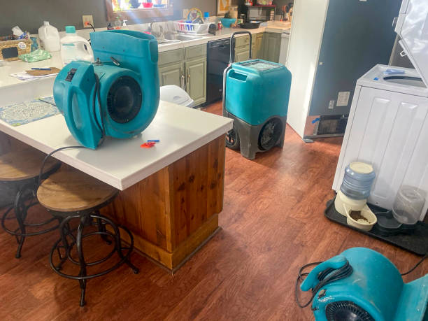 Best Basement water damage restoration  in Gary, IN