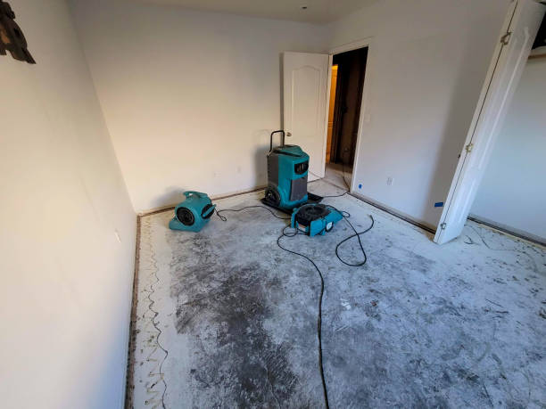 Best Flood restoration services  in Gary, IN