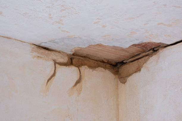 Best Residential water damage restoration  in Gary, IN