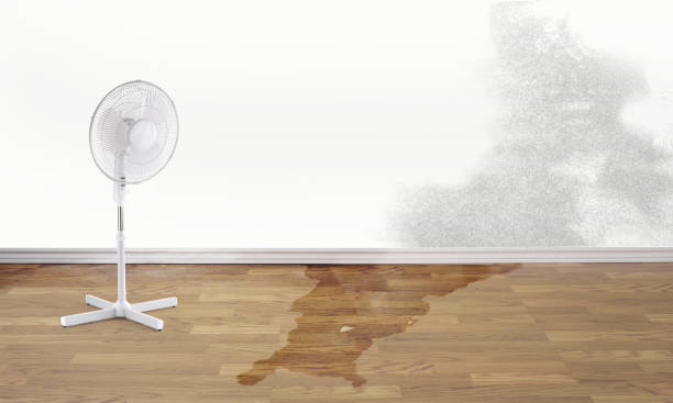 Water damage restoration experts in Gary, IN