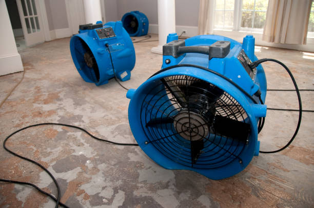 Best Ceiling water damage repair  in Gary, IN