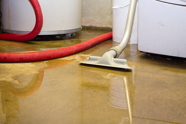 Best Flood restoration services  in Gary, IN