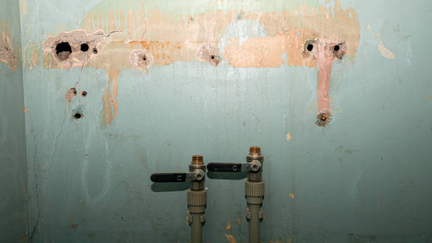 Local water damage restoration in Gary, IN