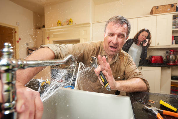 Best Carpet water damage restoration  in Gary, IN